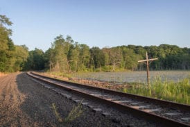 Looking toward Whaley Lake from the Stream